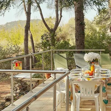 Maison Familiale A Sanary, En Pleine Pinede