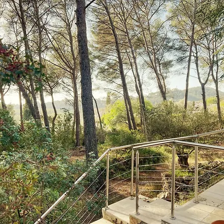 Maison Familiale A Sanary, En Pleine Pinede Villa